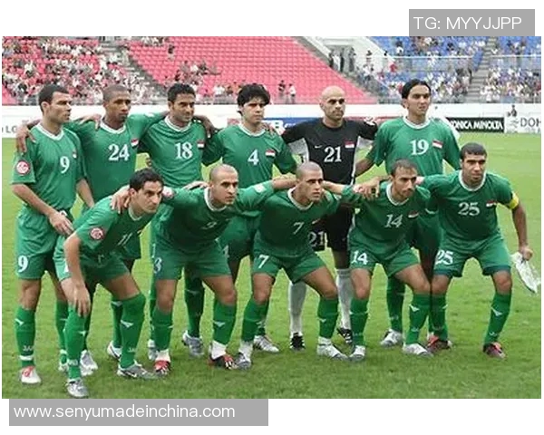 全球足球国家队最新排名揭晓强队表现与新兴球队崛起分析