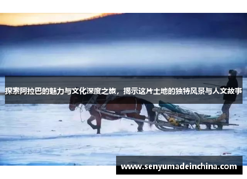 探索阿拉巴的魅力与文化深度之旅，揭示这片土地的独特风景与人文故事
