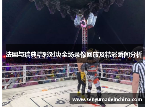法国与瑞典精彩对决全场录像回放及精彩瞬间分析